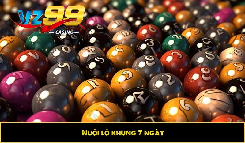 Nuôi lô khung 7 ngày